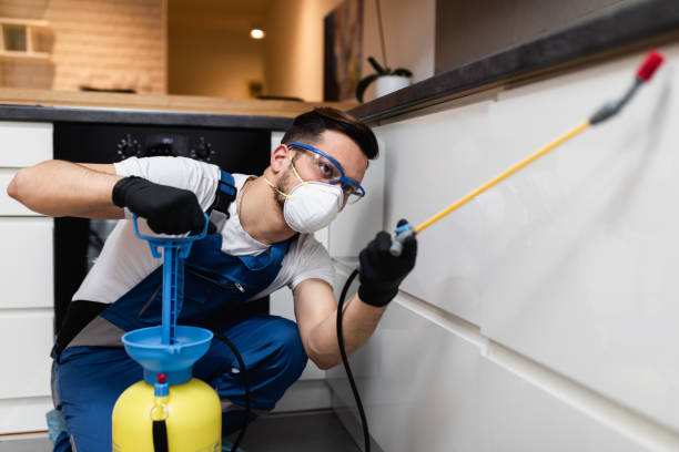 Best Insect Control  in Milford, UT