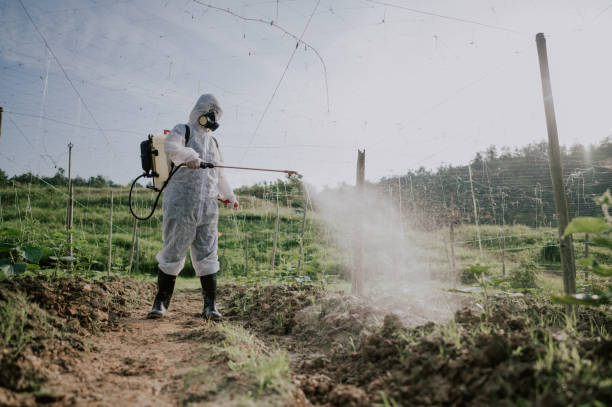 Best Pest Control Treatment  in Milford, UT