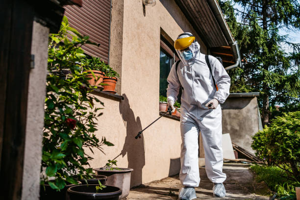 Best Pest Prevention Services  in Milford, UT