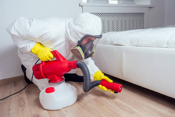 Best Flea Control Services  in Milford, UT