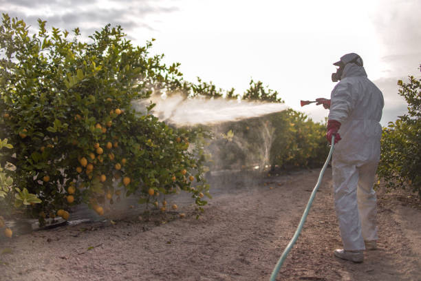 Best Best Pest Control Companies  in Milford, UT