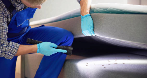 Best Mosquito Control Services  in Milford, UT
